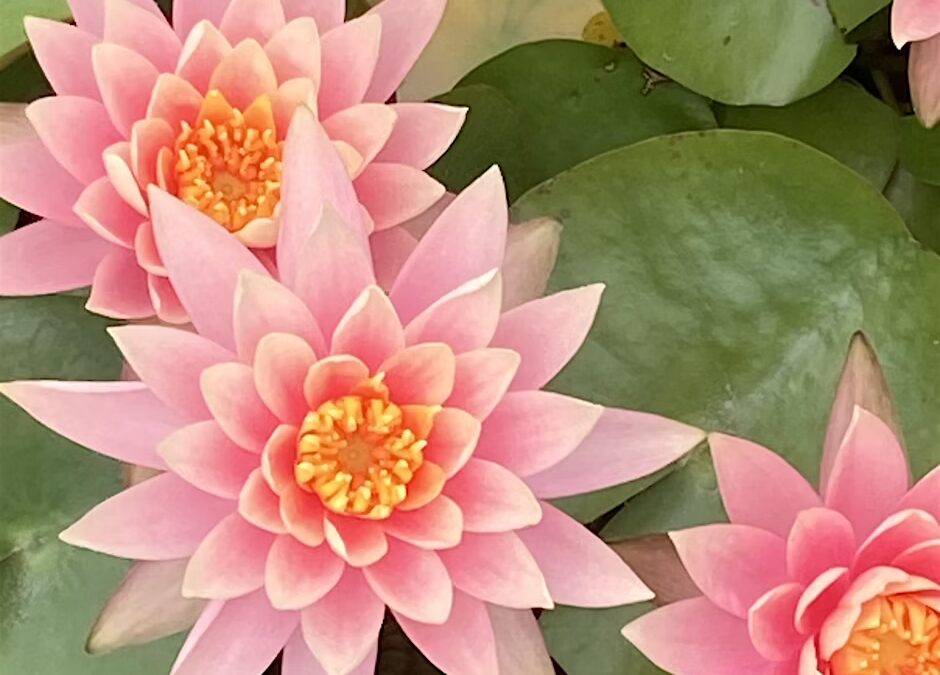 Finding Self and Being with You